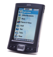 Palm TX