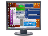 LG Electronics Flatron L1950B