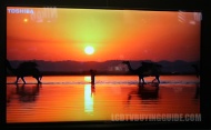 Toshiba 47"" 3D LED-LCD HDTV
