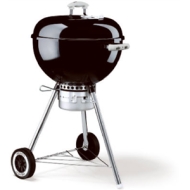 Weber 451001