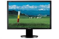 Samsung SyncMaster 305T