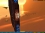 Homeworld 2