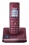 Panasonic KX-TG8561