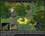 Heroes of Might and Magic V