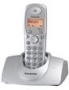 Panasonic KX TG1100PD