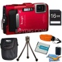 Olympus V104130BU000