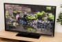 Sony KDL EX640(40", 46", 55")