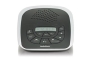 Extended-Capacity Digital Answering System