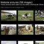 Digital Photography Tutorial: Create Your Own Website