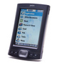 Palm TX