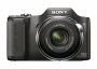 Sony Cyber-shot DSC-H20