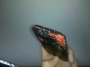 HTC Droid Incredible Caught On Fire