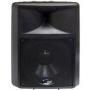 Pyle PPHP1590 Main / Stereo Speaker