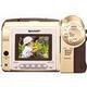 Sharp Viewcam VL-A10