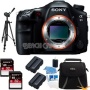 Sony Alpha SLT-A99V 24.3 MP SLR Digital Camera + Sony 24-70 f2.8 Lens