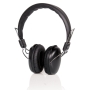 Sony PEGA SA500