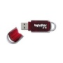 ByteStor High Speed 16GB Dataferry USB Flash Drive - Red