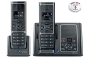 Verve 450