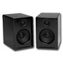 Audioengine A2B 2 Speakers