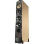 Paradigm Reference Studio 100