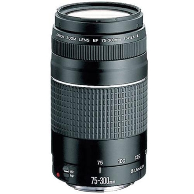 Canon Ef 75 300mm F 4 5 6 Iii Telephoto
