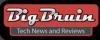 bigbruin