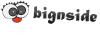 bignside.de