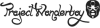 projectwonderboy.com