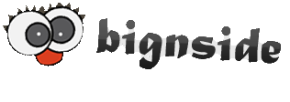 bignside.de