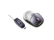 Trust Ami Mouse 250S - Mouse - optical - 5 button(s) - wireless - USB / PS/2 wireless receiver - retail