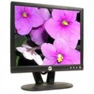 17&#039;&#039; Dell TFT LCD Flat Panel Monitor (Charcoal Gray)