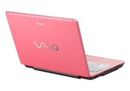 Sony VAIO VGN-C291NW/H