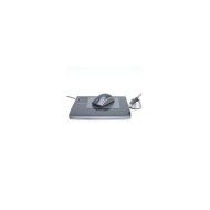 Wacom PTZ 430G En