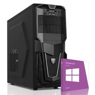 VIBOX Vision 12 - Fast 4.2GHz AMD A6 Dual Core Home Desktop Gaming PC Multimedia Computer with Windows 8.1 Included (4.0GHz (4.2GHz Turbo) AMD A6 Dual