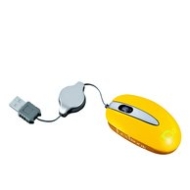 Souris optique