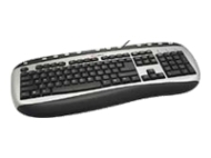 Labtec Internet Keyboard Tastatur