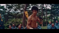 Enter the Dragon