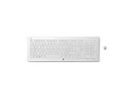 HP Wireless K5510 Keyboard