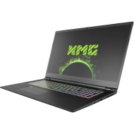 Schenker XMG PRO 17-E21 (17.3-inch, 2021)