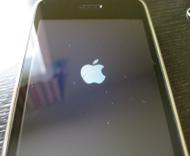 What&#039;s Up with the iPhone 3G S Oleophobic Screen?