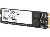SanDisk SDSDX110M2-256