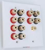 Home Theater Wall Plate 6.1