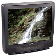 Sanyo DS31590 31&quot; TV