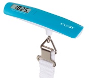 Camry 5.31 x 3 Inches Digital Luggage Scale, Green, One Size