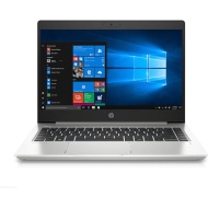 HP ProBook 455 G7 (15.6-inch, 2020)