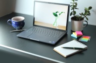 Dell Pro Premium (13.3-Inch, 2025)