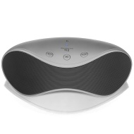 Etekcity RoverBeats T12 Portable Wireless Bluetooth Speaker, Enhanced Bass (Grey)