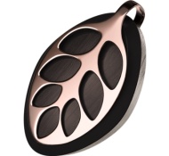 Bellabeat Leaf Nature