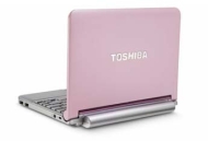Toshiba&reg; mini NB205-N313/P 10.1&quot; Laptop (Posh Pink)