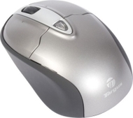 Targus Wireless Optical Stow-N-Go Notebook Mouse (AMW25US)